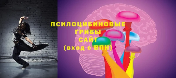 apvp Липки