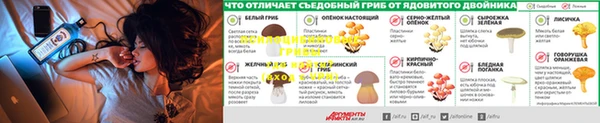 бутират Магадан