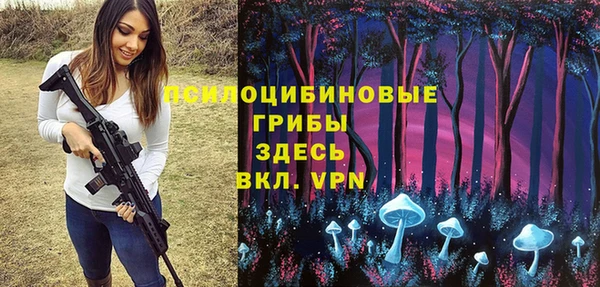 гидропоника Магас
