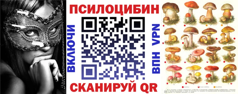 Галлюциногенные грибы Psilocybe OMG ссылка Барнаул что такое наркотик