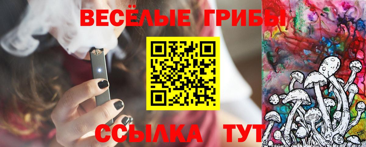 Псилоцибиновые грибы MAGIC MUSHROOMS  Псилоцибиновые грибы Psilocybe  Вход с VPN  Барнаул 